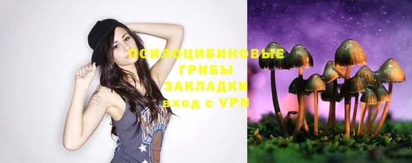 ешки Богородицк