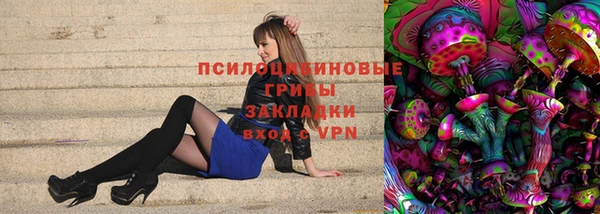 МДПВ Богданович