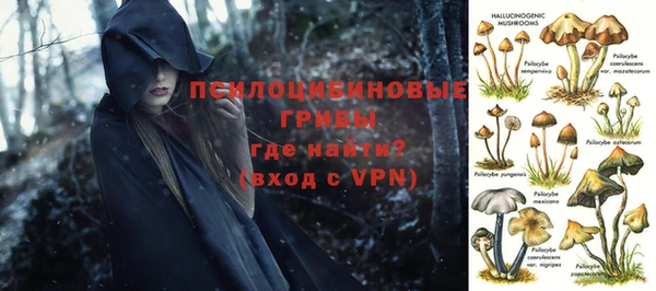 МДПВ Богданович