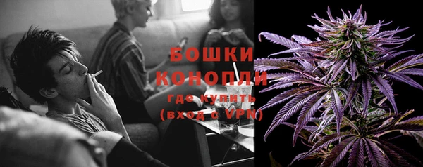 МДПВ Богданович